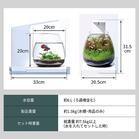 Bộ Hồ Aqua Perco ( Trắng ) - Glass Aqua PERCO T-WH