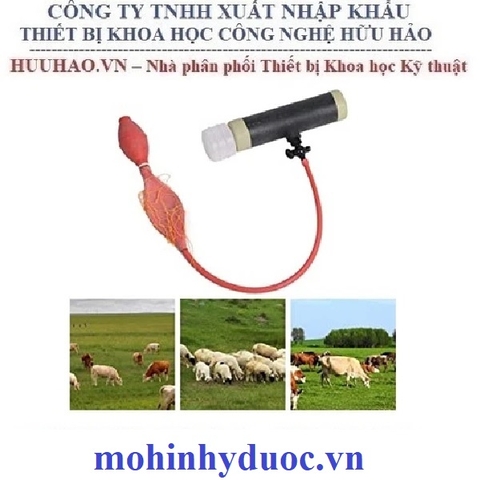 ÂM ĐẠO GIẢ CHO DÊ, CỪU