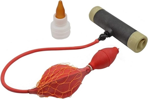 ÂM ĐẠO GIẢ CHO LỢN