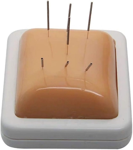 Mô hình da thực hành châm cứu và tiêm 18*10*5cm