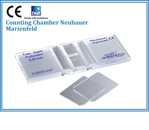 BUỒNG ĐẾM TẾ BÀO, HỒNG CẦU, BẠCH CẦU MARIENFELD CÓ TRÁNG BẠC - COUNTING CHAMBER