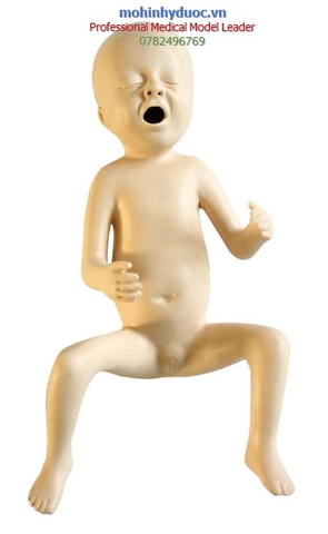 CÁC MÔ HÌNH TRẺ SƠ SINH ĐỦ THÁNG - THIẾU THÁNG