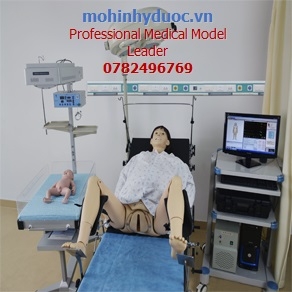 HỆ THỐNG MÔ PHỎNG ĐÀO TẠO KỸ NĂNG THỰC HÀNH SẢN KHOA GD/F56