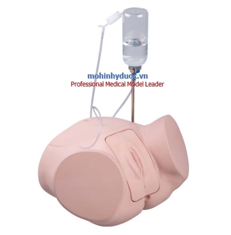 MÔ HÌNH  THỰC HÀNH ĐẶT ỐNG THÔNG NIỆU ĐẠO - THÔNG TIỂU NỮ 1020229