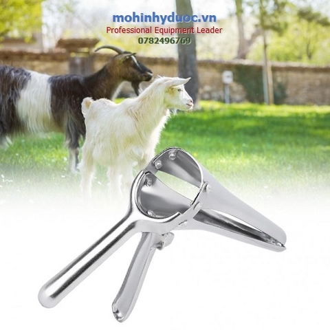 KÌM MỎ VỊT CHO GIA SÚC - TRÂU - BÒ - DÊ