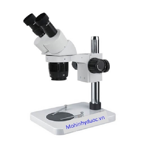 Kính hiển vi ST6013-B1 (10x-30x)