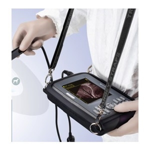 MÁY SIÊU ÂM THAI ĐỘNG VẬT SUNWAY HANDSCAN V8