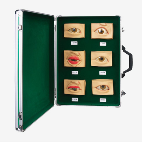 MÔ HÌNH GIẢNG DẠY 20 BỆNH LÝ VỀ MẮT