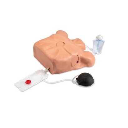 MÔ HÌNH BÁN THÂN CHỌC DỊCH MÀNG TIM – 1018828 - 3B SCIENTIFIC