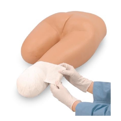 Mô Hình Băng Bó Vết Thương Cắt Cụt Chi Dưới – 1005681 – 3B Scientific