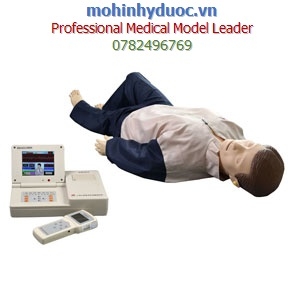 MÔ HÌNH BỆNH NHÂN NGƯỜI LỚN KHÁM TOÀN DIỆN GD/ACLS10800