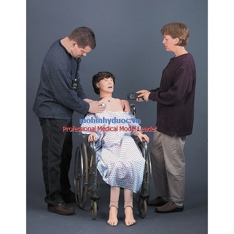 MÔ HÌNH BỆNH NHÂN NGƯỜI LỚN KHÁM TOÀN DIỆN LF04023U/ LF04079U