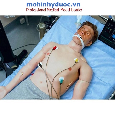 MÔ HÌNH MÔ PHỎNG BỆNH NHÂN NGƯỜI LỚN  ĐA NĂNG MEDVISION LEO-STD-001
