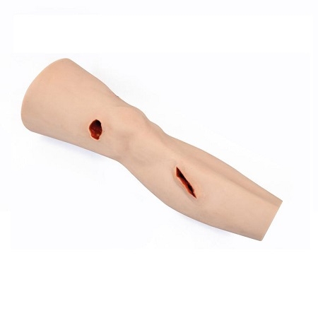 MÔ HÌNH CHÂN GIẢ THỰC HÀNH SƠ CỨU CẦM MÁU VÀ BĂNG BÓ VẾT THƯƠNG X1020 ERLER ZIMMER