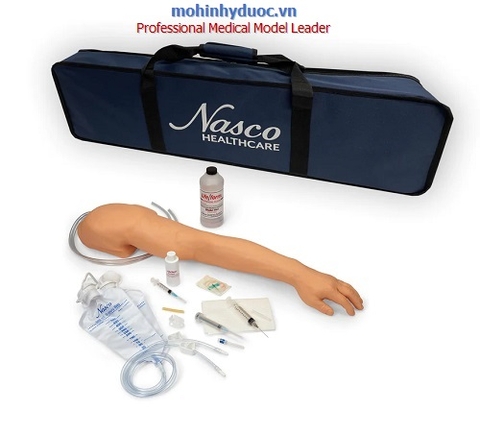 MÔ HÌNH CÁNH TAY THỰC HÀNH TIỀM TRUYỀN ĐA NĂNG (TĨNH MẠCH, BẮP, DƯỚI DA) LF01121U