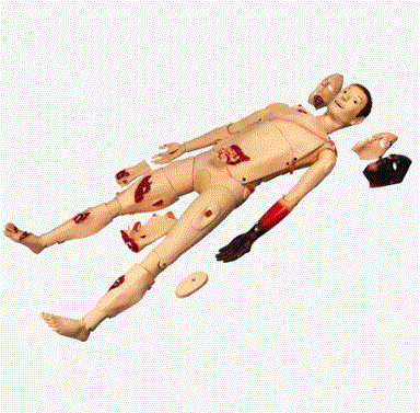 MÔ HÌNH CHĂM SÓC ĐIỀU DƯỠNG CÁC VẾT THƯƠNG GD/H111