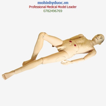 MÔ HÌNH ĐIỀU DƯỠNG CHĂM SÓC NGƯỜI CAO TUỔI NAM ĐA NĂNG GD-H220A