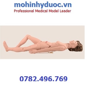 Mô hình chấn thương sọ não