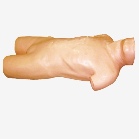 MÔ HÌNH CHỌC DÒ MÀNG BỤNG GD/L261