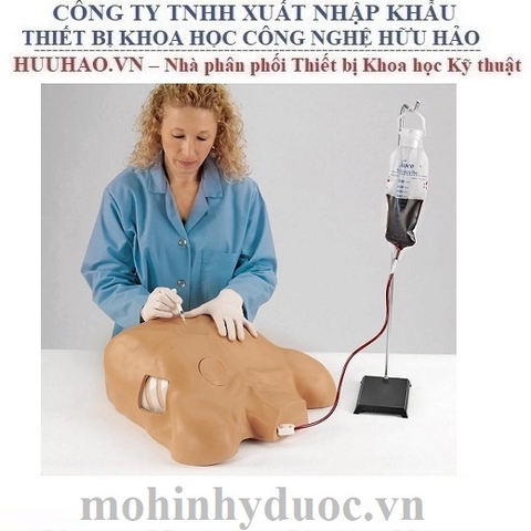 MÔ HÌNH CHỌC DÒ MÀNG TIM, MÀNG PHỔI LF03769 NASCO