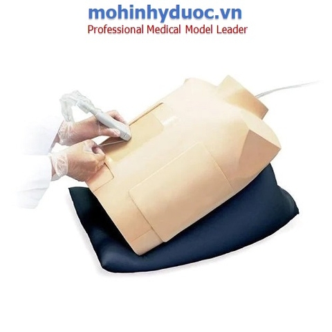 Mô hình chọc dò màng tim dưới sự hướng dẫn của siêu âm