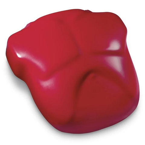 MÔ HÌNH CPR LIFE/FORM® – NASCO MỸ: TOP CÁC SẢN PHẨM PHỔ BIẾN TẠI VIỆT NAM