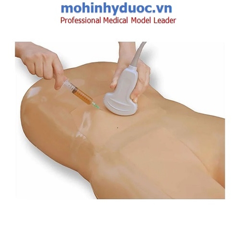 Mô hình đào tạo chọc hút màng bụng, ổ bụng có hướng dẫn bằng siêu âm