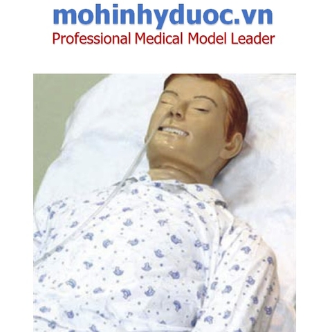 CÁC MÔ HÌNH PHỤC VỤ GIẢNG DẠY THỰC HÀNH ĐIỀU DƯỠNG TIÊU BIỂU