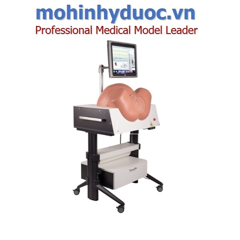 Mô hình đào tạo đỡ đẻ