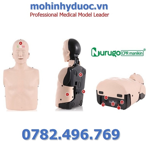 MÔ HÌNH ĐÀO TẠO HỒI SINH TIM PHỔI CPR NURUGO HÀN QUỐC