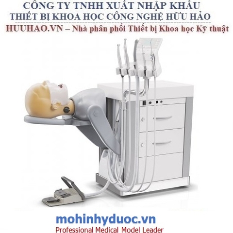 MÔ HÌNH THỰC HÀNH GIẢNG DẠY NHA KHOA KAVO – ĐỨC