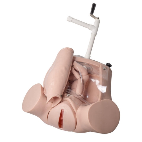 MÔ HÌNH ĐÀO TẠO SINH NỞ/ĐỠ ĐẺ NÂNG CAO GD/F53