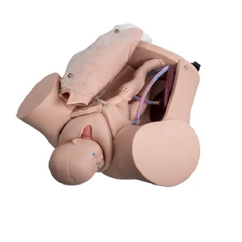 MÔ HÌNH ĐÀO TẠO SINH NỞ GD/F54 GD/F53, GD/F52