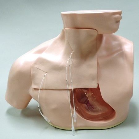 MÔ HÌNH ĐÀO TẠO THỰC HÀNH ĐẶT CATHETER TĨNH MẠCH TRUNG TÂM