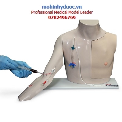 MÔ HÌNH ĐẶT CATHETER TĨNH MẠCH TRUNG TÂM SB52875U