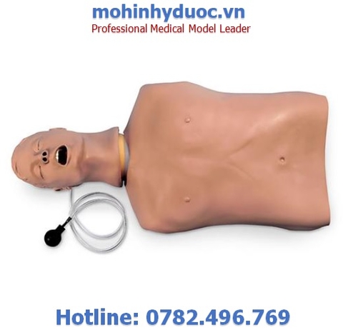 Mô hình đặt nội khí quản CPR 1019928 - 3B Scientific