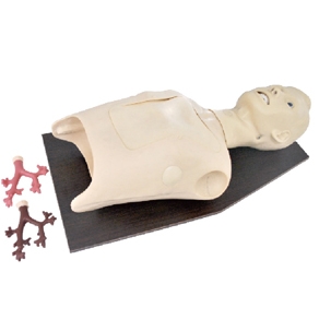 MÔ HÌNH ĐẶT NỘI KHÍ QUẢN NGƯỜI LỚN MODEL: GD/LV48