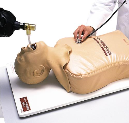 MÔ HÌNH ĐẶT NỘI KHÍ QUẢN SAKAMOTO M167