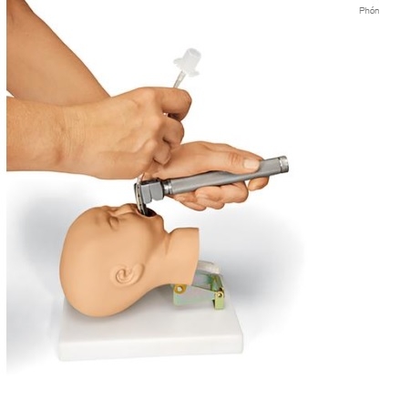 MÔ HÌNH ĐẶT NỘI KHÍ QUẢN TRẺ EM 1005102 [W19008] 3B SCIENTIFIC