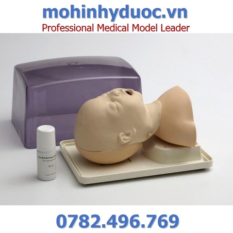 MÔ HÌNH ĐẶT NỘI KHÍ QUẢN TRẺ EM