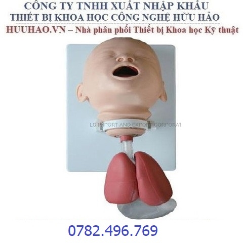 MÔ HÌNH ĐÀO TẠO ĐẶT NỘI KHÍ QUẢN TRẺ EM