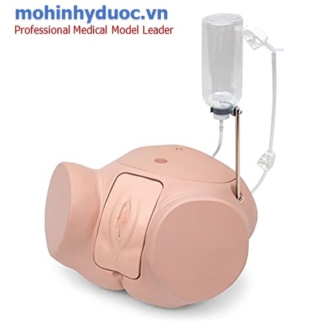 MÔ HÌNH ĐẶT SONDE TIỂU - ỐNG THÔNG TIỂU NỮ P93SPC-F (SB53193)