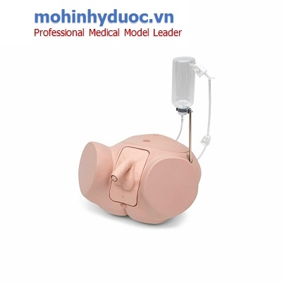 MÔ HÌNH ĐẶT SONDE TIỂU – THÔNG TIỂU CHO NAM P93SPC-M (SB53193) NASCO