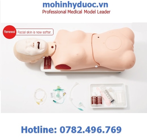 Mô hình đặt thông mũi dạ dày và rửa dạ dày M190 Sakamoto