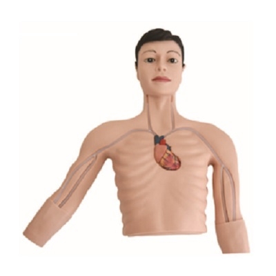 MÔ HÌNH ĐẶT TĨNH MẠCH TRUNG TÂM PICC GD/L69E