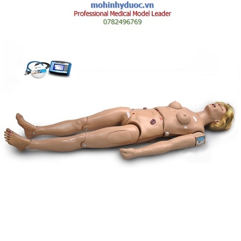 MÔ HÌNH ĐIỀU DƯỠNG ĐA NĂNG S222.100 GAUMARD (CÓ ĐO HUYẾT ÁP, NGHE TIM PHỔI)