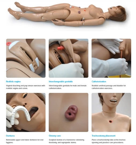 MÔ HÌNH THỰC HÀNH ĐIỀU DƯỠNG ĐA NĂNG S201M - GAUMARD/MỸ