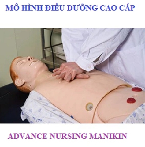 MÔ HÌNH THỰC HÀNH ĐIỀU DƯỠNG CAO CẤP