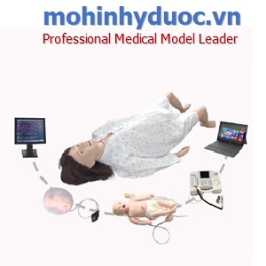 MÔ HÌNH HỆ THỐNG ĐÀO TẠO SẢN KHOA TOÀN DIỆN