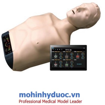 MÔ HÌNH HỒI SINH TIM PHỔI KÈM PHẦN MỀM ĐÀO TẠO ĐÁNH GIÁ TRÊN MÁY TÍNH BẢNG - BT-SEEM2 BT INC - HÀN QUỐC